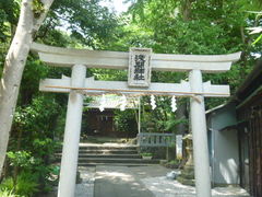 gV[̐Ԑ_(Os)ւ̓eʐ^1