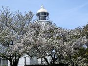 JOE����̊�����������̍��̓��e�ʐ^1