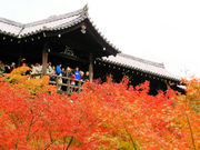 ���C����̓������̓��e�ʐ^5