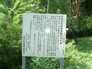 JOE����̊C���Ղ̃n�N���N�����̓��e�ʐ^1