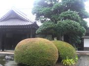 Ƃ񂳂̌ÖƎR\@̓eʐ^3