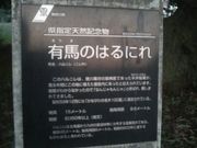 Ƃ񂳂̗LñnjiȂ񂶂񂶂j̓eʐ^1