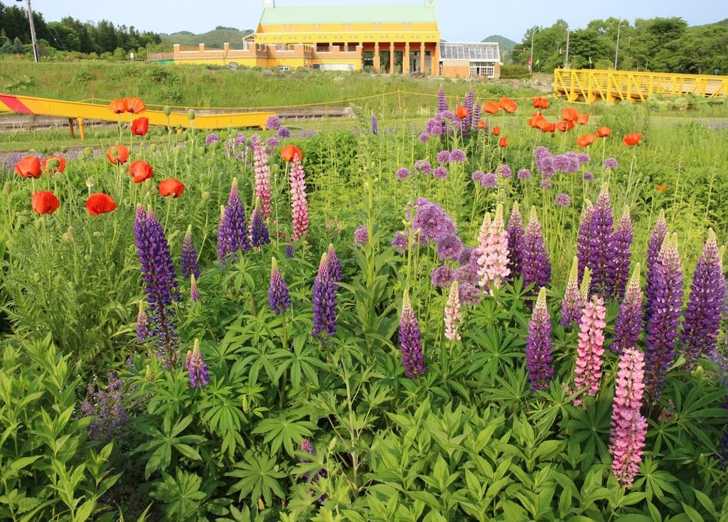 西興部村 紋別郡 の道の駅 サービスエリアランキングtop1 じゃらんnet