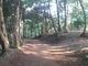 さとけんさんの八菅山いこいの森への投稿写真4