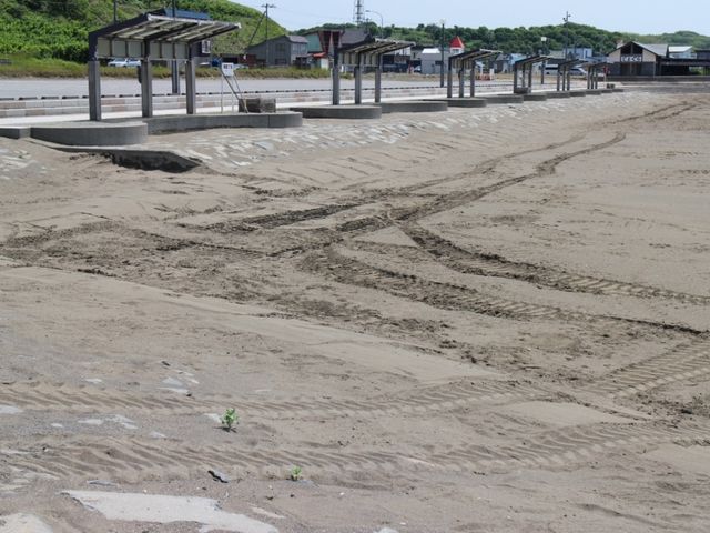 �L���r�[�`_���ɂ����c�C���r�[�`