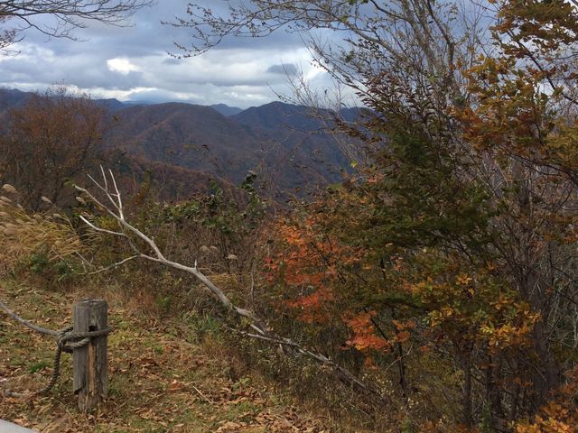 �W�������̂Ŋ��������ł��B_�������݂����C��