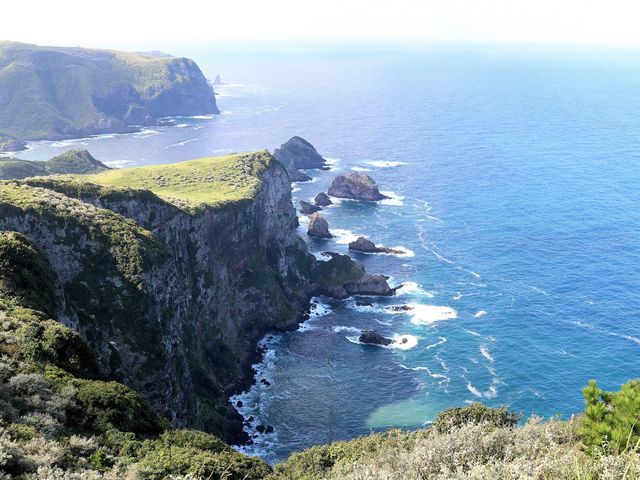 ���V�R����_�B�򍑉�C��