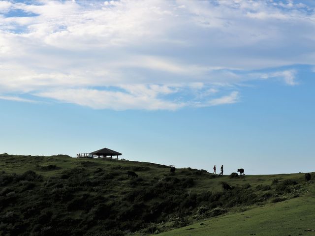 ���V�R_�B�򍑉�C��