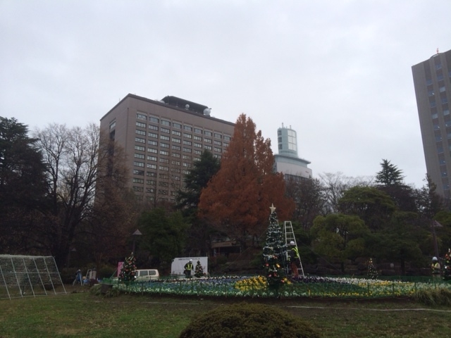 ���������_���������