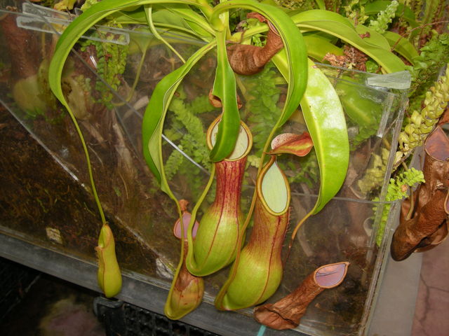 �H���A��_�ۓ������M�ѐA��������