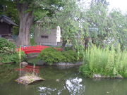 gV[̔mԋiR_Ёj̓eʐ^1