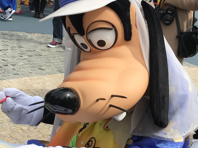 �O�[�t�B�[_�����f�B�Y�j�[�V�[(R)