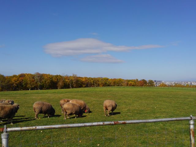 ��ɕ����ԉ_�����������ł�_�����ۂ�r���u�W�]��