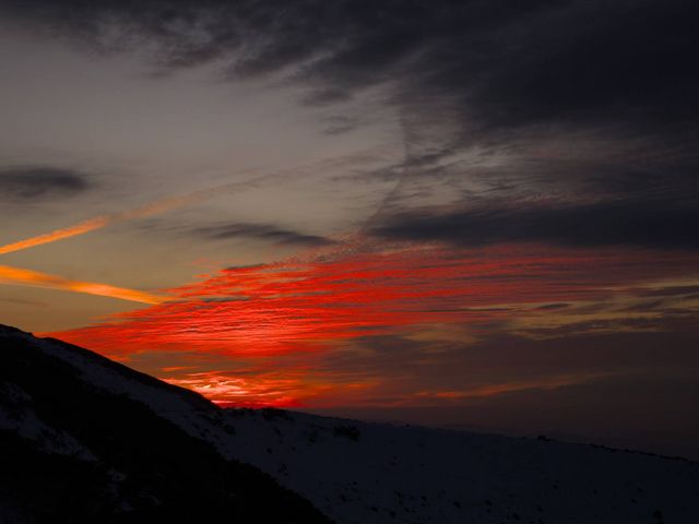 �h�̖ڂ̑O�ɍL����[�i_�݂��肪�r����