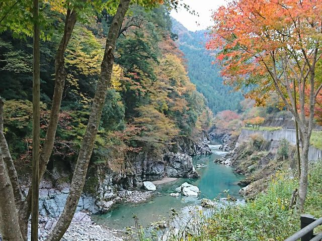 面河渓】アクセス・営業時間・料金情報 - じゃらんnet