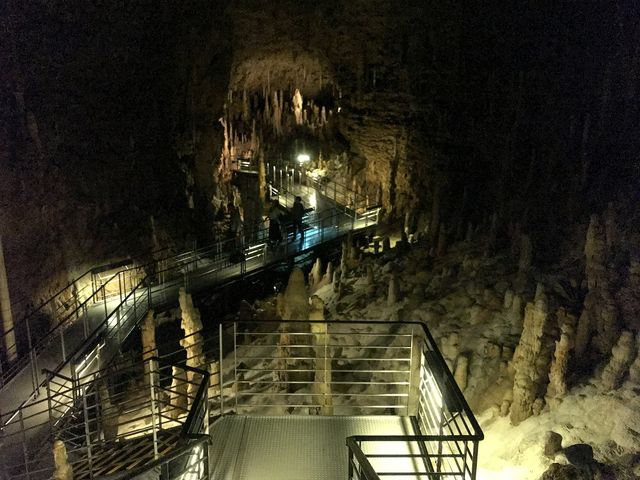 �ʐ򓴁E�W�]_�����Ȃ탏�[���h