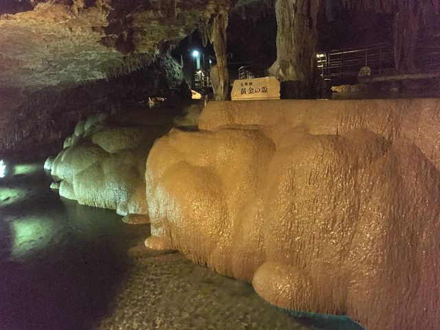 �ʐ򓴁E�����̔u_�����Ȃ탏�[���h