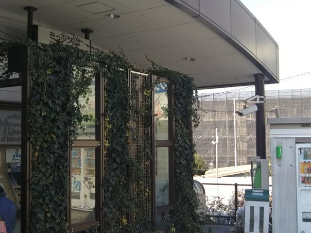 cJ擙X͂̏ZlHANAMASAESTEAKqRcX̓eʐ^1