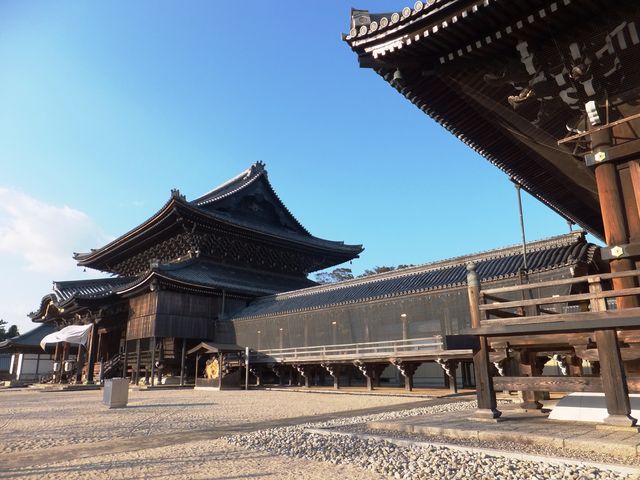 ��e���Ɣ@�����́u�ʓV���v�łȂ����Ă��܂��B_���c�{�R��C��