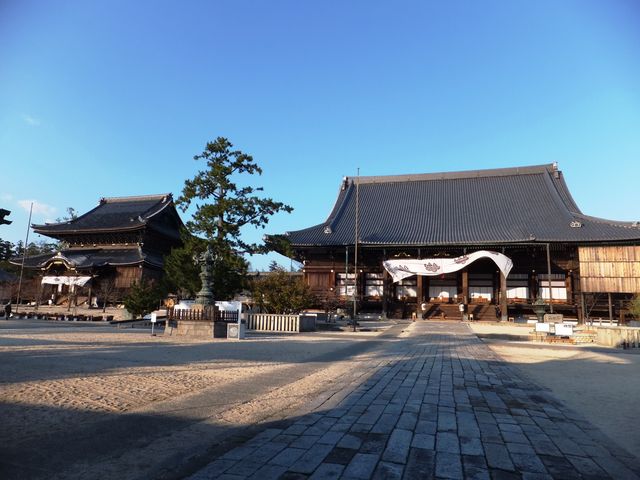 �傫�Ȍ����ӂ��������тɂȂ��Ă��Ă��A�S�R�]�T�̋����~�n�B_���c�{�R��C��