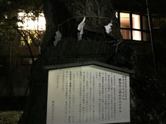 Kuda12̗nR_Ђ̑PLւ̓eʐ^1