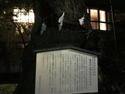 Kuda12̗nR_Ђ̑PL̓eʐ^1