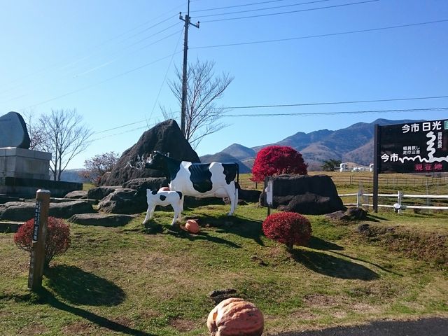 񔭌IIŖqꊴAbv_q XgnEX