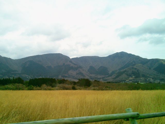 �u��Ό������v_��Ό�����