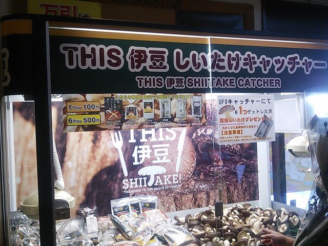 ɓ̉wɁEEE_܂X TAMAGOYA