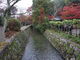 カメチャンさんの哲学の道（京都府京都市）の投稿写真1