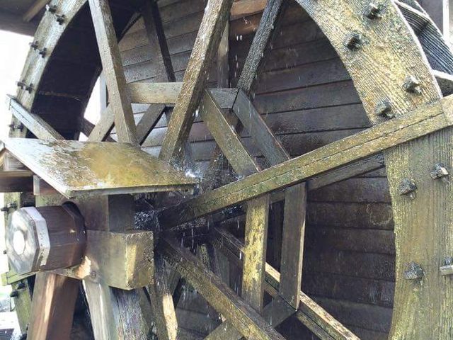 ������_�O�t�̗� �c��������