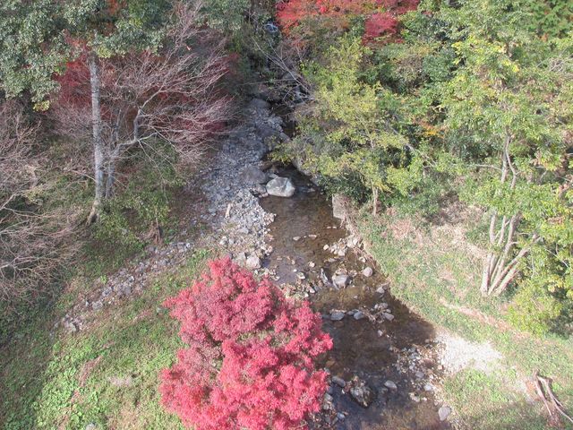 missa̓ߊR[R̉wR쑐̓eʐ^1