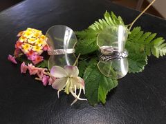 ͂񂳂̑̌H[A&Mւ̓eʐ^1