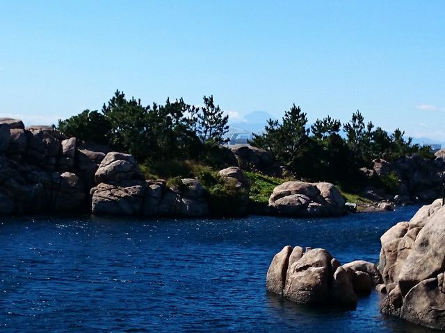 �x�m�R��������_�����f�B�Y�j�[�V�[(R)