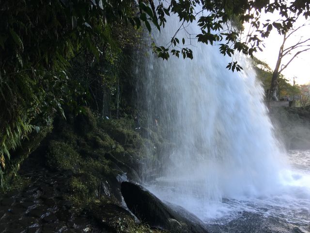 �}�C�i�X�C�I�������Ղ�ł���_�����̑�