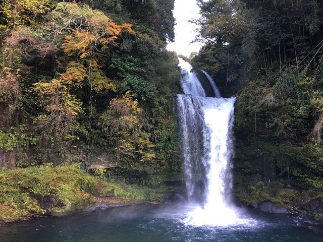 �����̑�_�����̑�