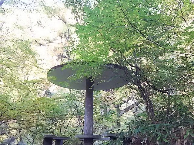 ���̂��̋x�e�X�y�[�X_�������R����