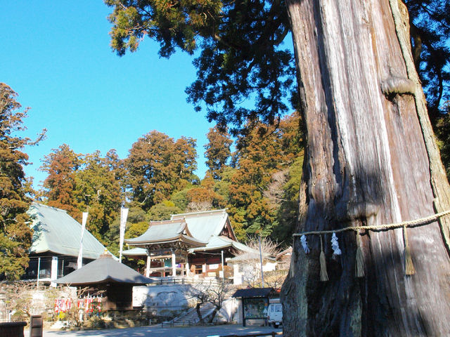 ���߂���̐����̑�X�M�̓��e�ʐ^1