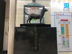 新潟駅コンコースにある忠犬タマ公の像_忠犬タマ公像