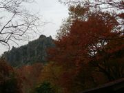 傤̖nk̐V΁Egt̓eʐ^1