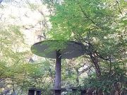 �R��������̒������R�����̓��e�ʐ^1