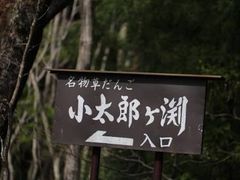 ���i����̏����Y���������ւ̓��e�ʐ^1