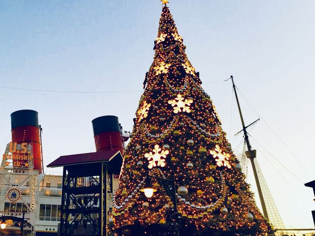 �c���[�����킢���B_�����f�B�Y�j�[�V�[(R)