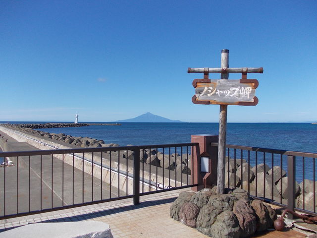 �Y��ȊC_�m�V���b�v��