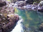 񂳂̌ɐ{c_Ђ̓eʐ^1