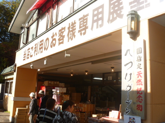 �ւ�K�[�f��_�ւ�K�[�f��