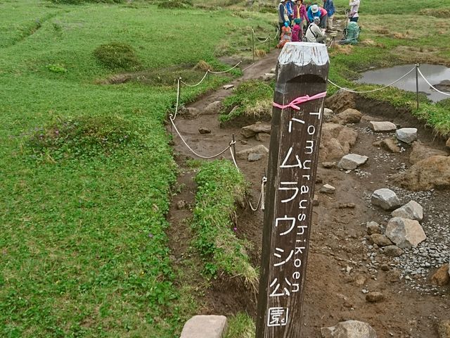 �k�C���炵�����i_�g�����E�V�R