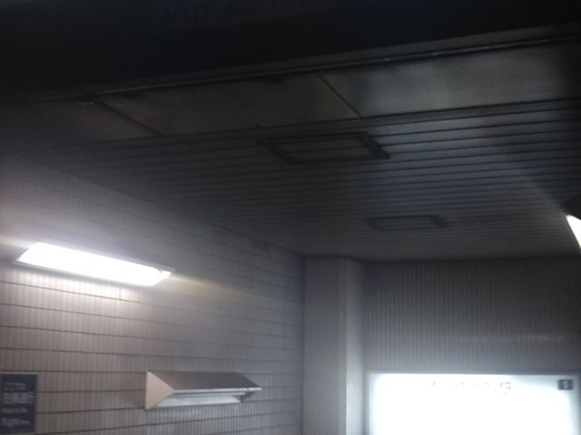 ݕ{܂̍Ŋw͓gۃm̓숢Jw2ao炷B_ݕ{