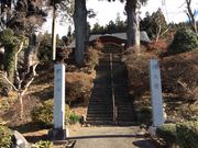 tam-tam�̃^�v�^�v����̏@�{���̓��e�ʐ^1