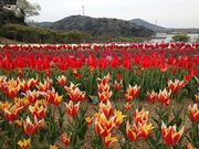 ݂ǂ̈Pr_ƌuTepN͂v̓eʐ^1